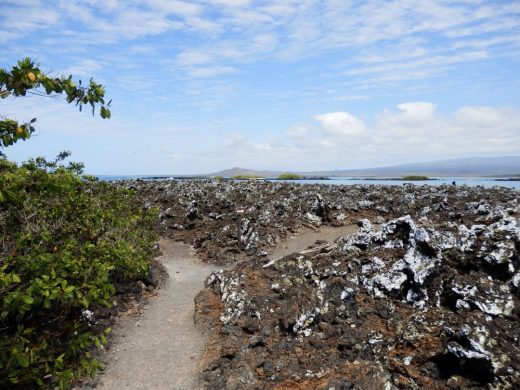 Große Lavafelder durchziehen Isabela und die vorgelagerten Inselchen