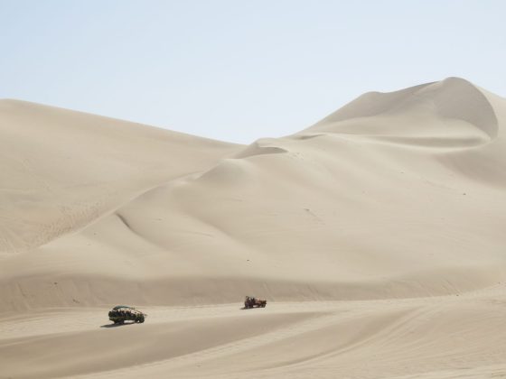 Sandbuggys brettern durch die Wüste