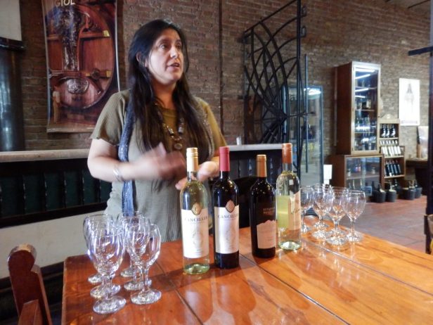 ...erfahren wir noch mehr über den Wein von Mendoza